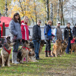 ataman_balashiha_dogs015