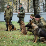 ataman_balashiha_dogs023