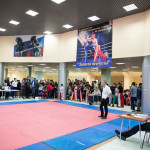 kickboxing_balashiha_gold_2015_001