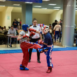 kickboxing_balashiha_gold_2015_030