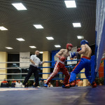 kickboxing_balashiha_gold_2015_031