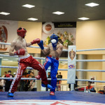 kickboxing_balashiha_gold_2015_032