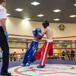 kickboxing_balashiha_gold_2015_041