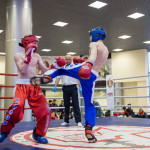 kickboxing_balashiha_gold_2015_054