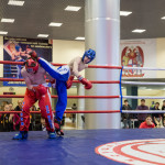 kickboxing_balashiha_gold_2015_055