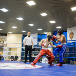 kickboxing_balashiha_gold_2015_066