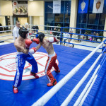 kickboxing_balashiha_gold_2015_068