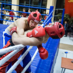 kickboxing_balashiha_gold_2015_074