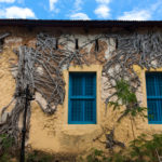 Zanzibar_2018-601