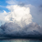 Zanzibar_2018_Tanzania627#