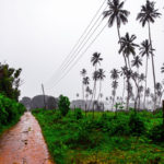 Zanzibar_2018_nature04