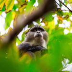 Zanzibar_2018_nature07