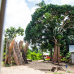 Zanzibar_2018_nature16