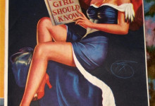 AMERICAN BEAUTIES pinup poster mona_006