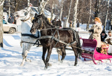 wedding_marina_leo_balashiha_024