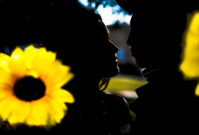 love_story_podsolnuh003