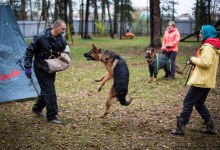 ataman_balashiha_dogs001