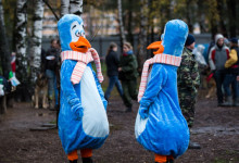 ataman_balashiha_dogs008