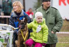 ataman_balashiha_dogs013