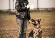 ataman_balashiha_dogs028