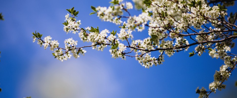 #0912af3b51b63c3d4bf2bac4caca03ca4