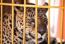 fotograf_moscow_2015_029