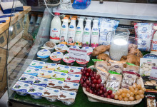 golden_autumn_2015_exb_014