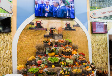 golden_autumn_2015_exb_019