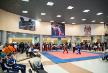 kickboxing_balashiha_gold_2015_003