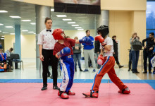 kickboxing_balashiha_gold_2015_022
