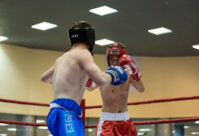 kickboxing_balashiha_gold_2015_026