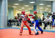 kickboxing_balashiha_gold_2015_028