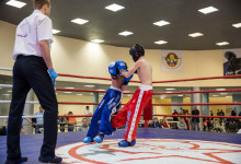 kickboxing_balashiha_gold_2015_041