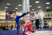 kickboxing_balashiha_gold_2015_045