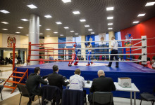 kickboxing_balashiha_gold_2015_062