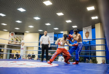 kickboxing_balashiha_gold_2015_066