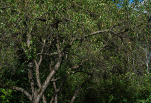 moscow_2015_wedding_28