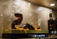 prodexpo_2016_DAY2_05