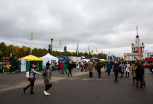 golden_autumn_2016_003