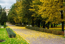 golden_autumn_2016_005