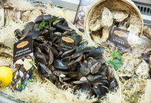 g_autumn_2016_reportag_006