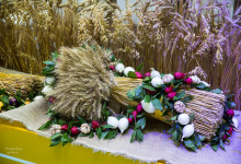 g_autumn_2016_reportag_009