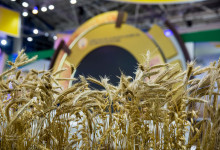 g_autumn_2016_reportag_010