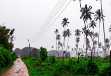 Zanzibar_2018_nature04