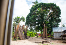 Zanzibar_2018_nature16