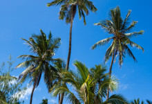 Zanzibar_2018_Nungwi01