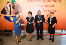 Exhibition park zoo011