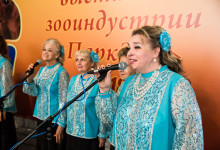 Exhibition park zoo017