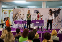 Exhibition park zoo020