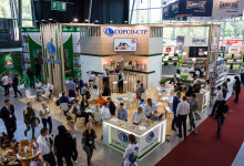 park zoo exb stend111